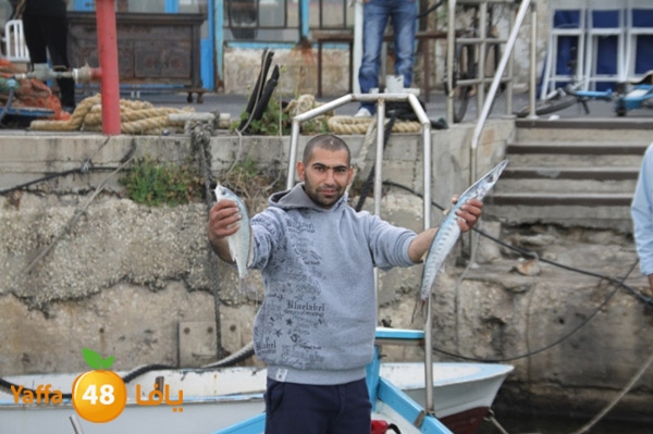 sayyadnewyaffa3 (32).JPG